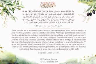 Exégesis del Corán del Al-Mîzân